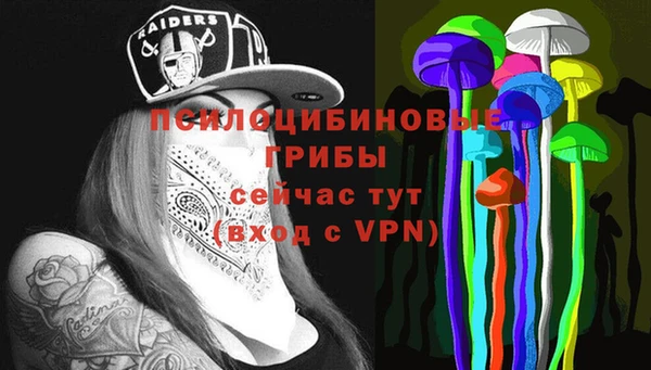 молекула духа Балабаново