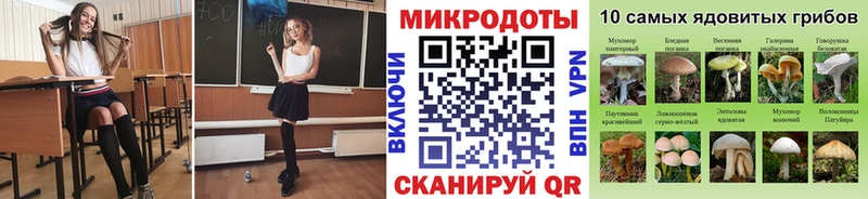 МЕГА ONION  Новоаннинский  Псилоцибиновые грибы Magic Shrooms 